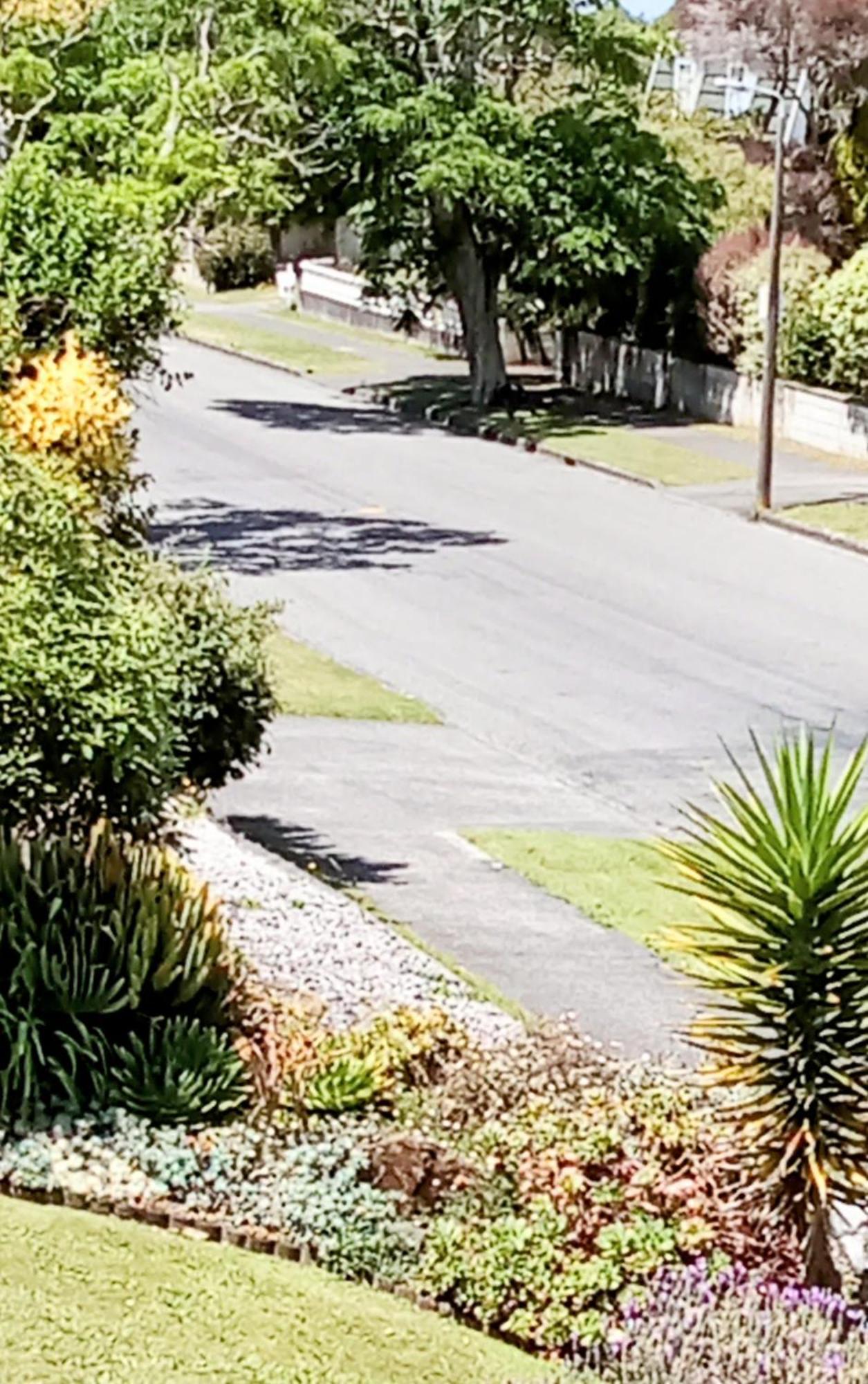 Park View 'Home Away From Home' Feilding Εξωτερικό φωτογραφία